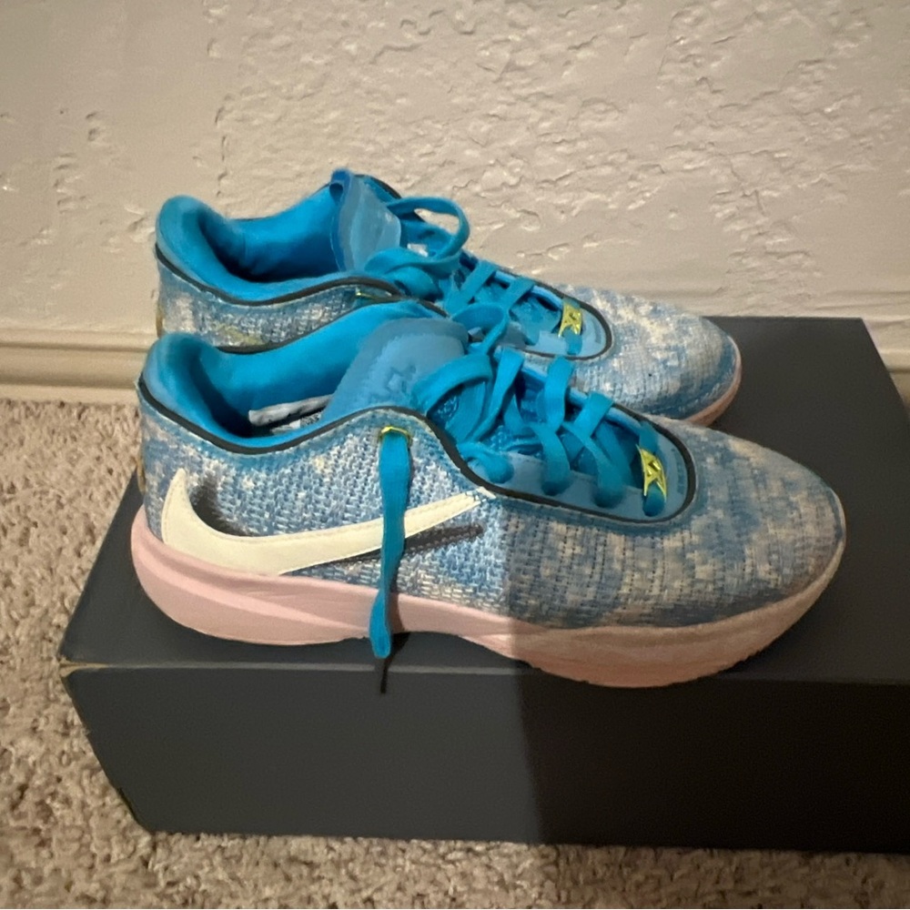 Women Lebron XX